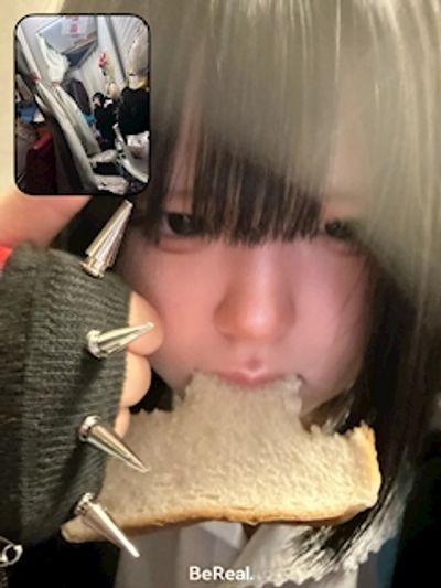🍃 たぬき 🍃